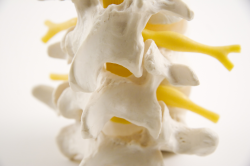 Chiropractor provides relief to back pain and personal injuries
